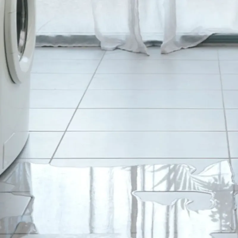 Appliance Leak Cleanup in Van Buren County, MI