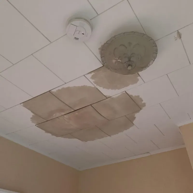 Ceiling Water Damage Repair in Van Buren County, MI