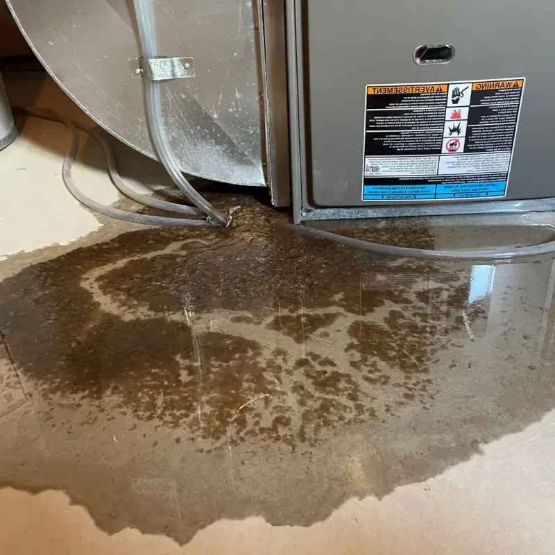 Pipe Burst and Leak Restoration in Van Buren County, MI