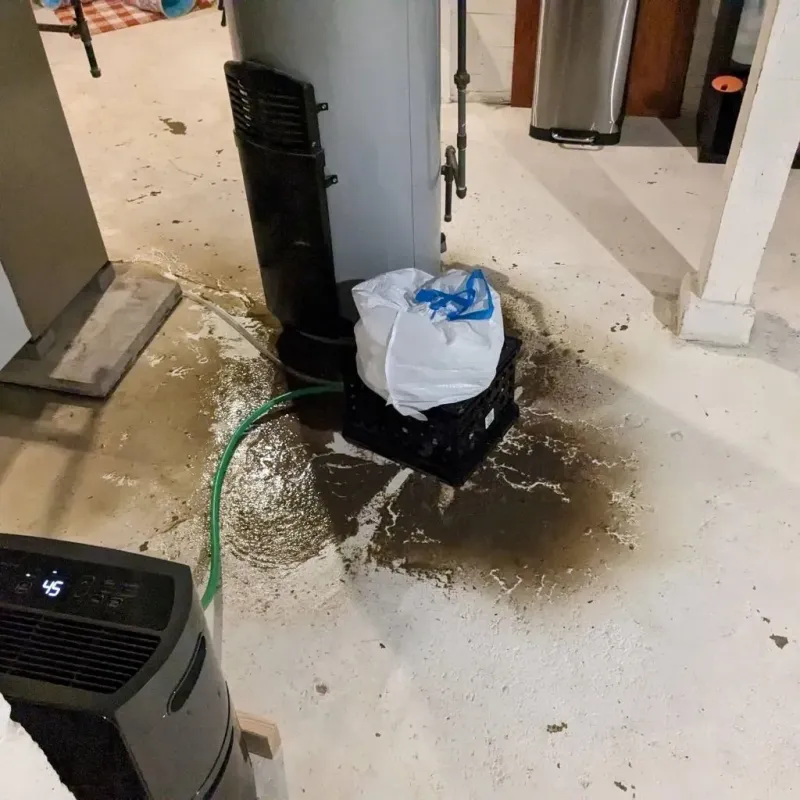 Sewage Backup Cleanup Service in Van Buren County, MI
